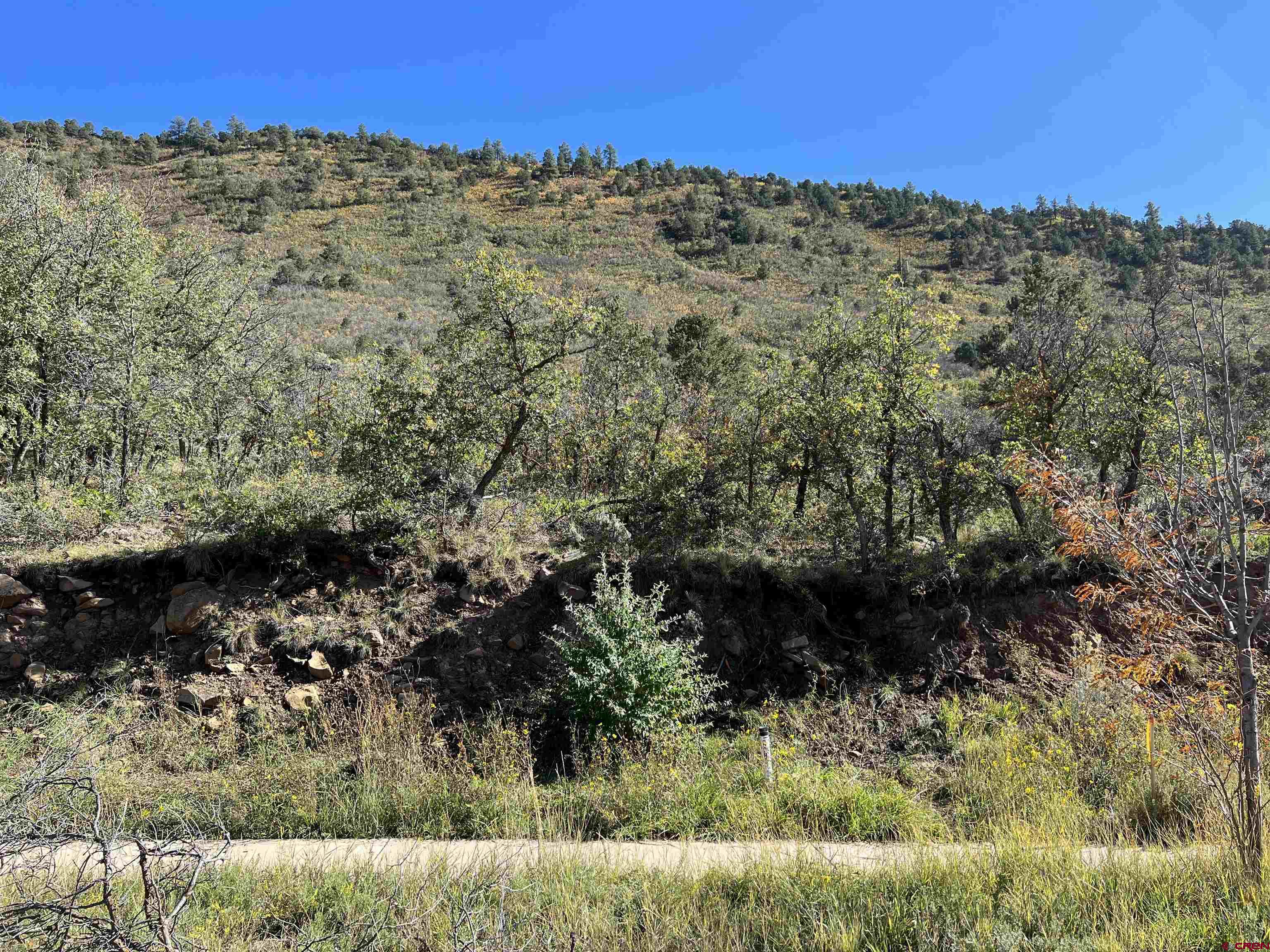 24 Lizard Head Drive Durango, CO 81301 - Photo 6 of 21 a view of a bunch of trees and bushes