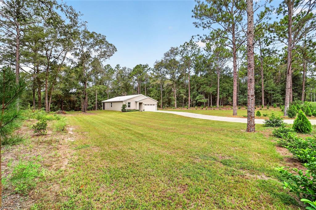 5890 Southwest 128th Ter Road Ocala, FL 34481 - Photo 11 of 77 Gallery Image 11