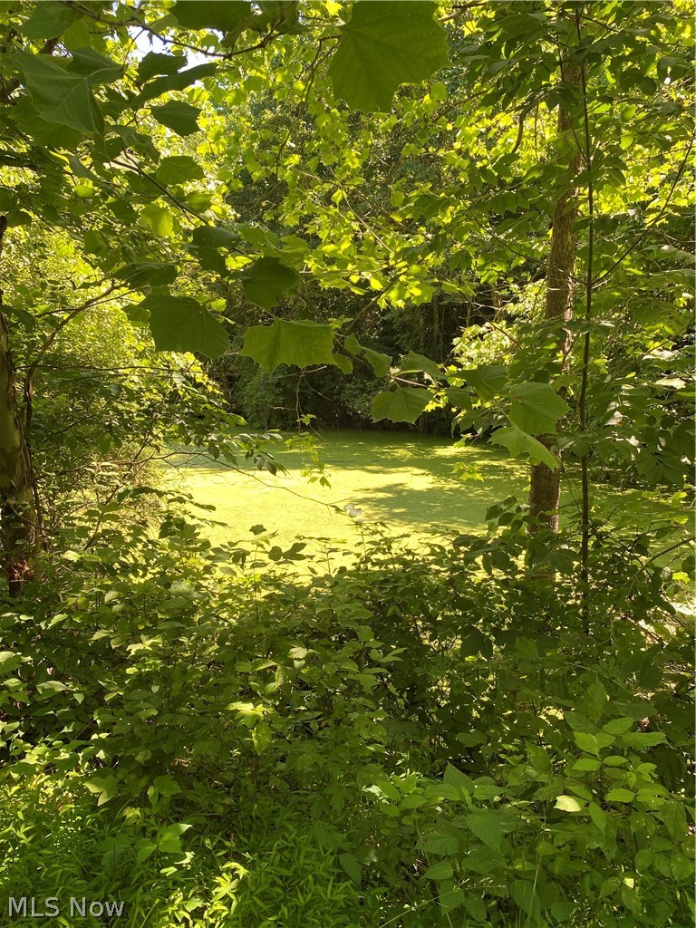 Ashton Hill Road Caldwell, OH 43724 - Photo 10 of 26