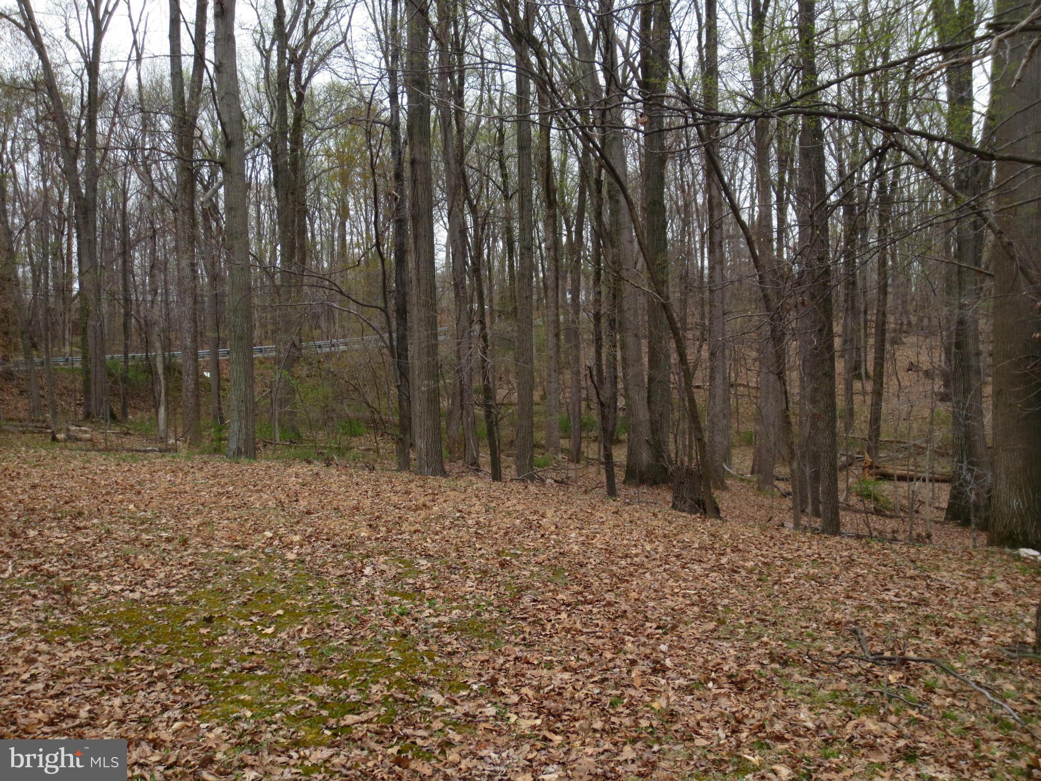 22901 Old Hundred Road Barnesville, MD 20838 - Photo 7 of 8 a backyard of a house with lots of green space