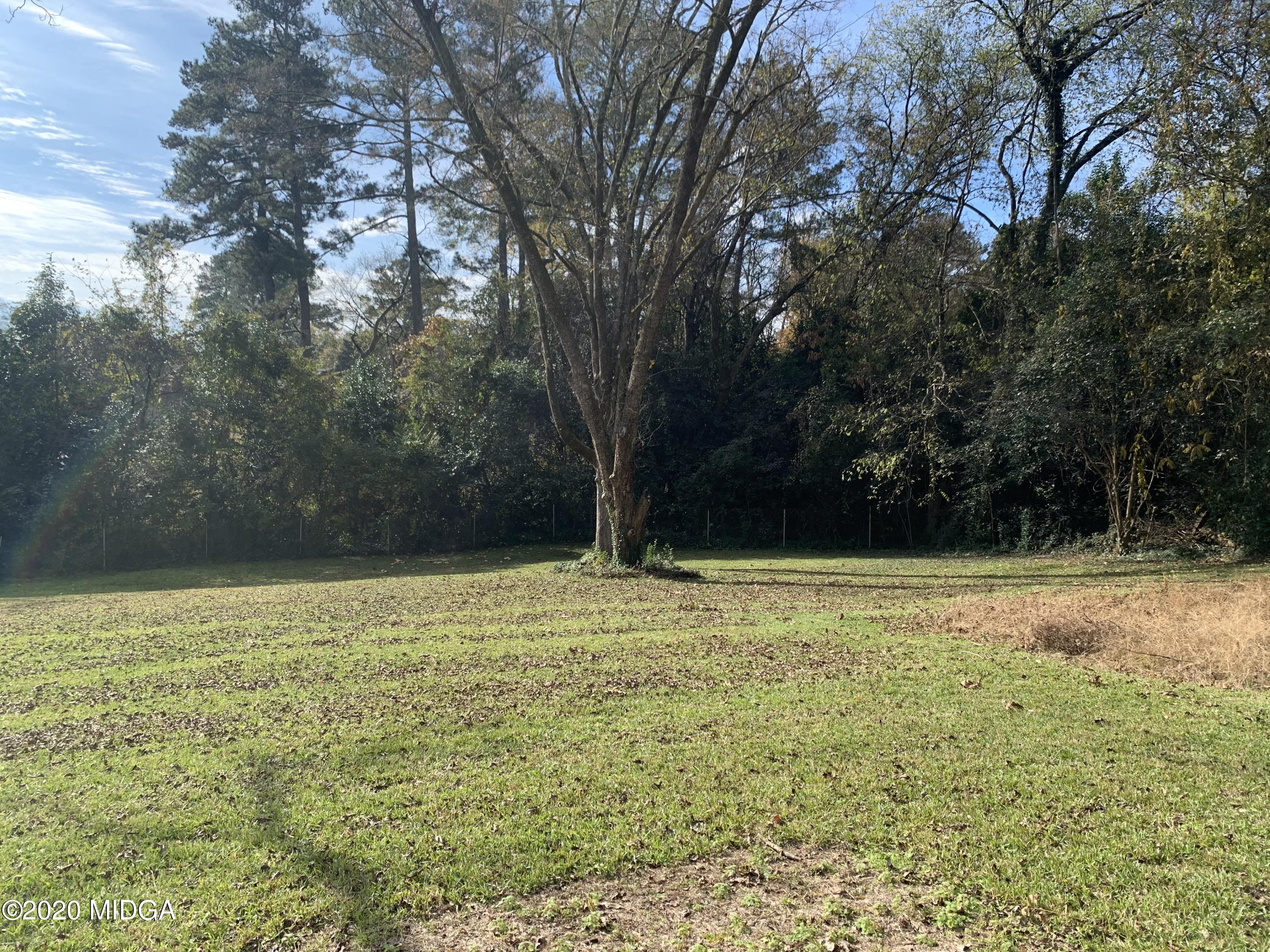 717 Windsor Road Macon, GA 31204 - Photo 5 of 22 Windsor back yard 2