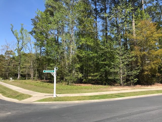 2105 Timmerman Road Myrtle Beach, SC 29588 - Photo 2 of 17 Gallery Image 2