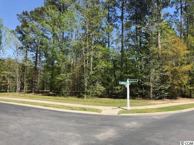 2105 Timmerman Road Myrtle Beach, SC 29588 - Photo 3 of 17 Gallery Image 3