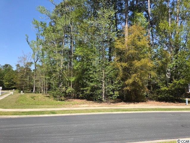 2105 Timmerman Road Myrtle Beach, SC 29588 - Photo 4 of 17 Gallery Image 4