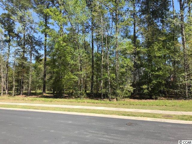 2105 Timmerman Road Myrtle Beach, SC 29588 - Photo 5 of 17 Gallery Image 5