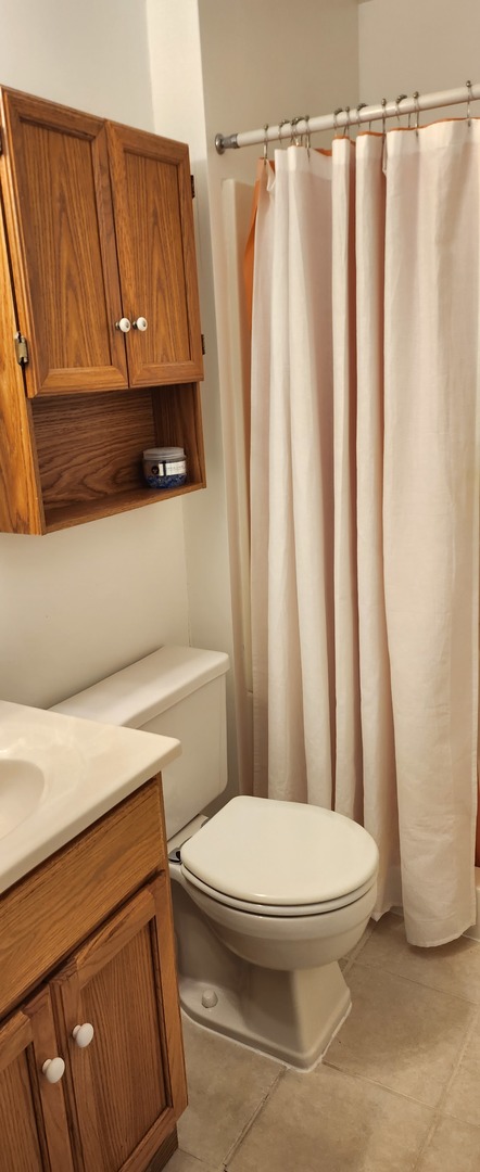 7306 West Mathews Drive Frankfort, IL 60423 - Photo 19 of 26 a bathroom with a shower curtain and a sink