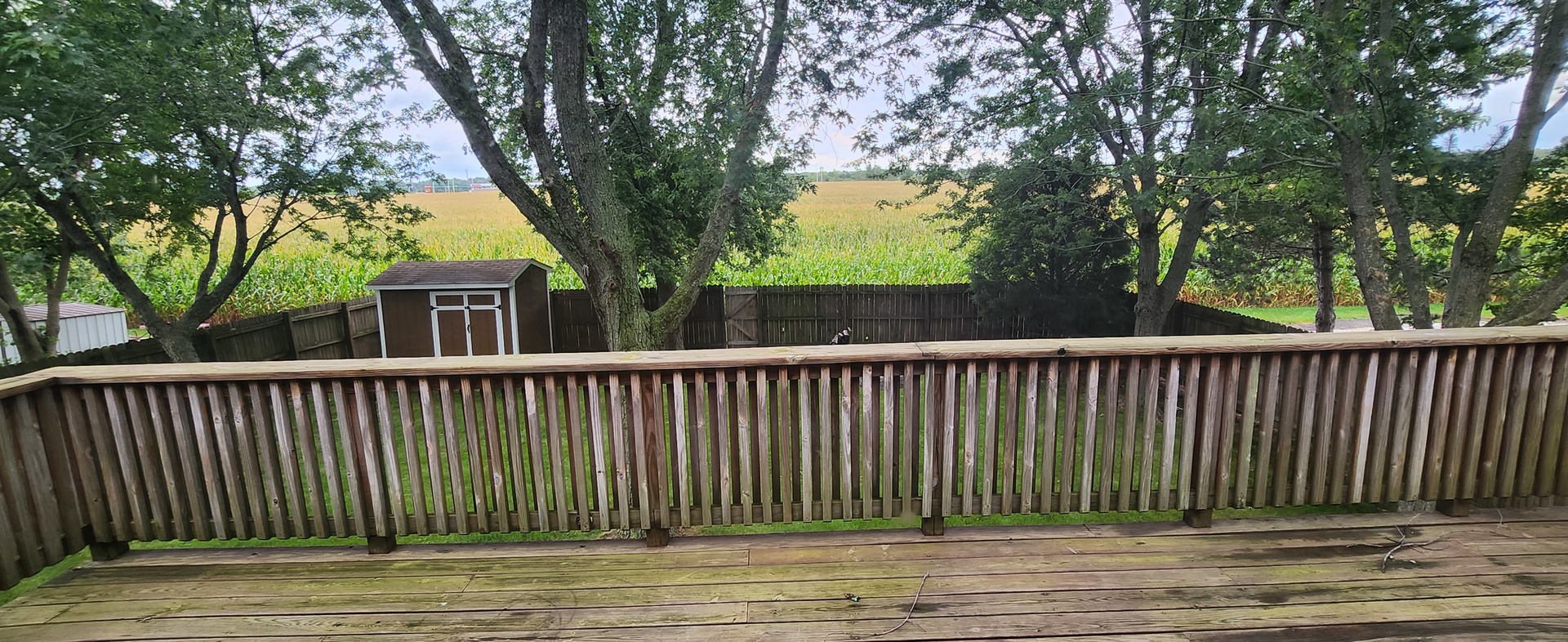 7306 West Mathews Drive Frankfort, IL 60423 - Photo 24 of 26 a view of wooden deck