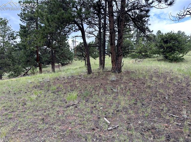 421 Pinewood Road Florissant, CO 80816 - Photo 7 of 10