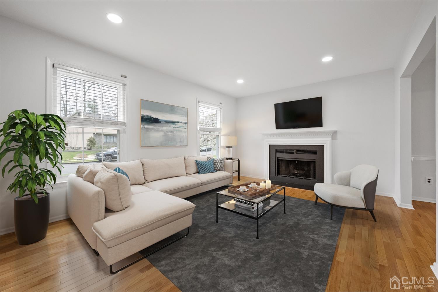 6 Oak Tree Road Monmouth Junction, NJ 08852 - Photo 3 of 23 Gallery Image 3