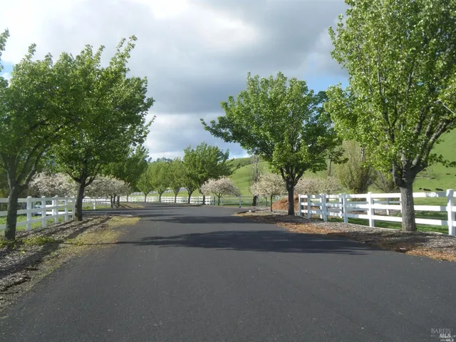 a backyard of a house with lots of green space