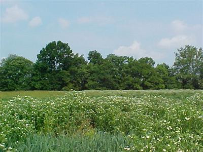 2699 Crowe Ridge Road Winchester, KY 40391 - Photo 12 of 22 Photo 12