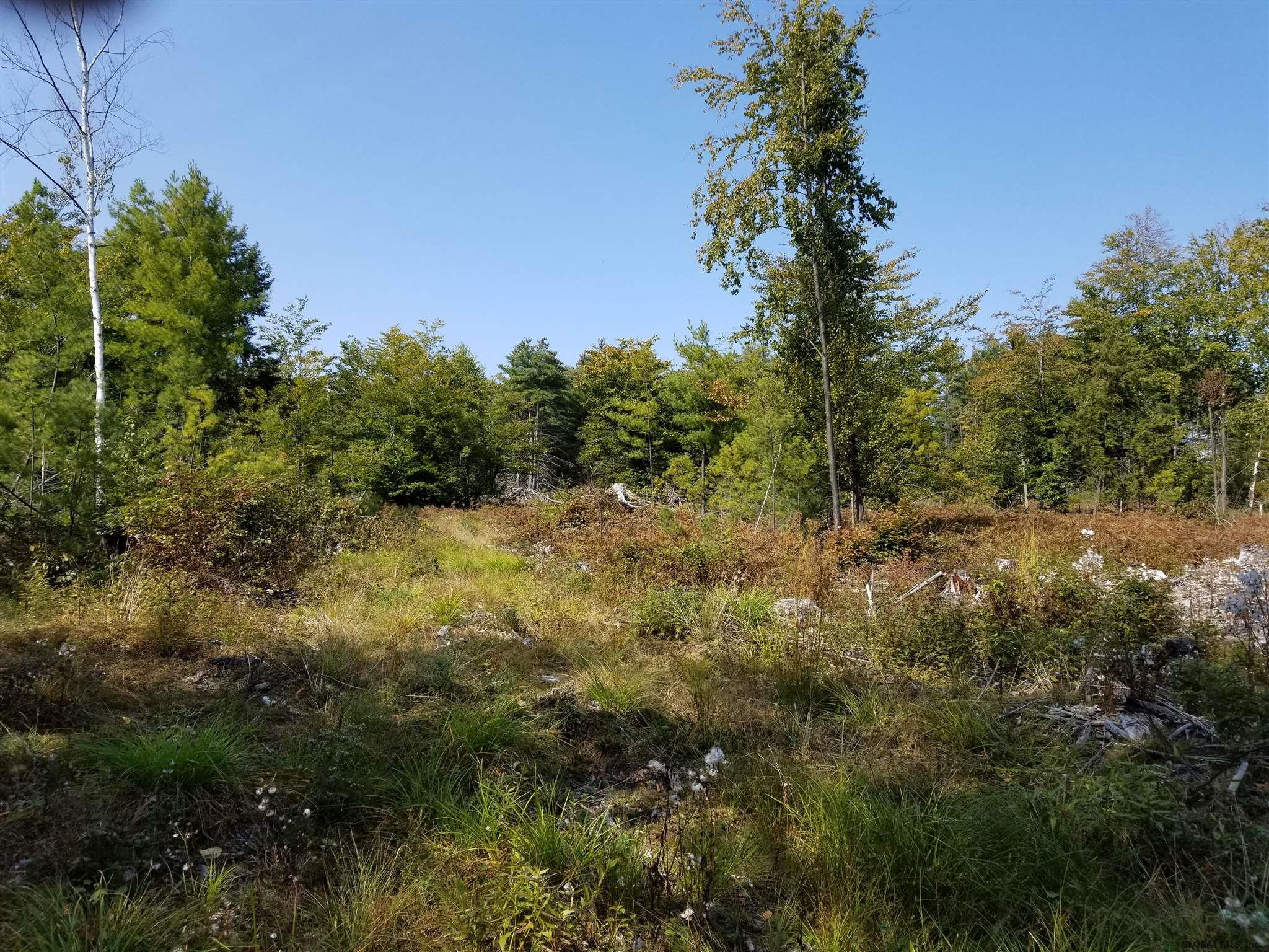 160 Howe Road Greenfield, NY 12833 - Photo 1 of 9 Photo 1