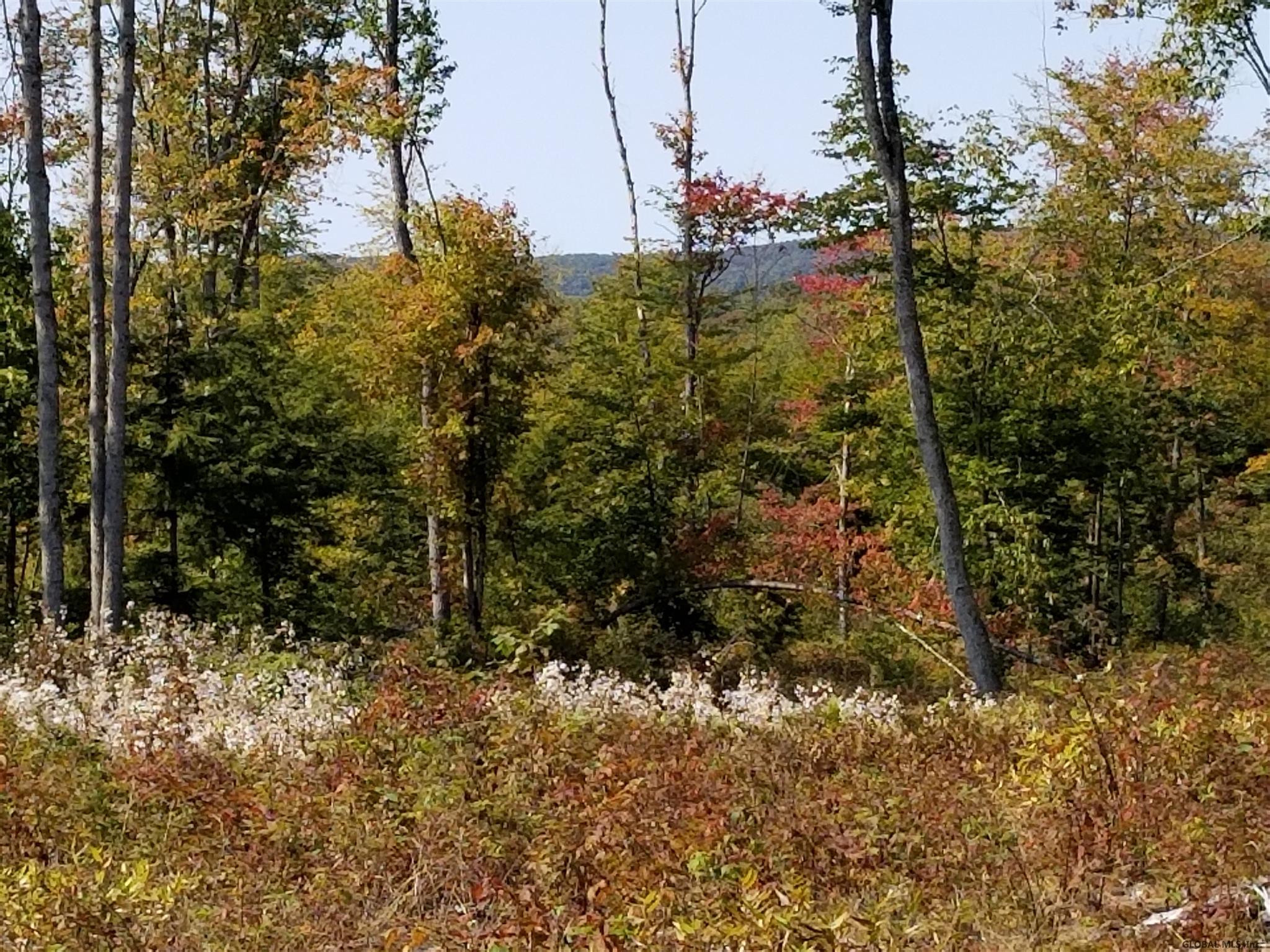 160 Howe Road Greenfield, NY 12833 - Photo 3 of 9 Photo 3