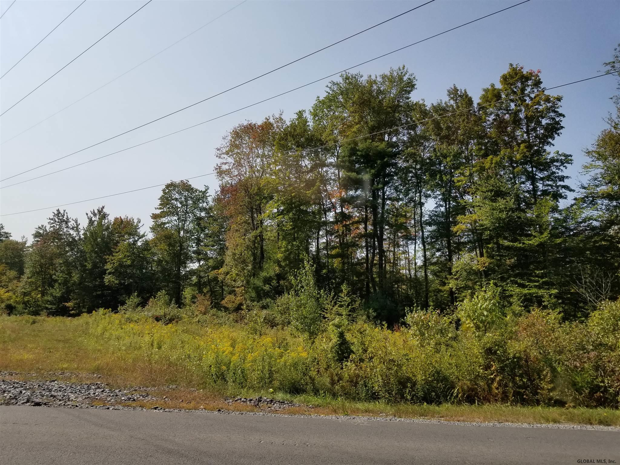 160 Howe Road Greenfield, NY 12833 - Photo 4 of 9 Photo 4