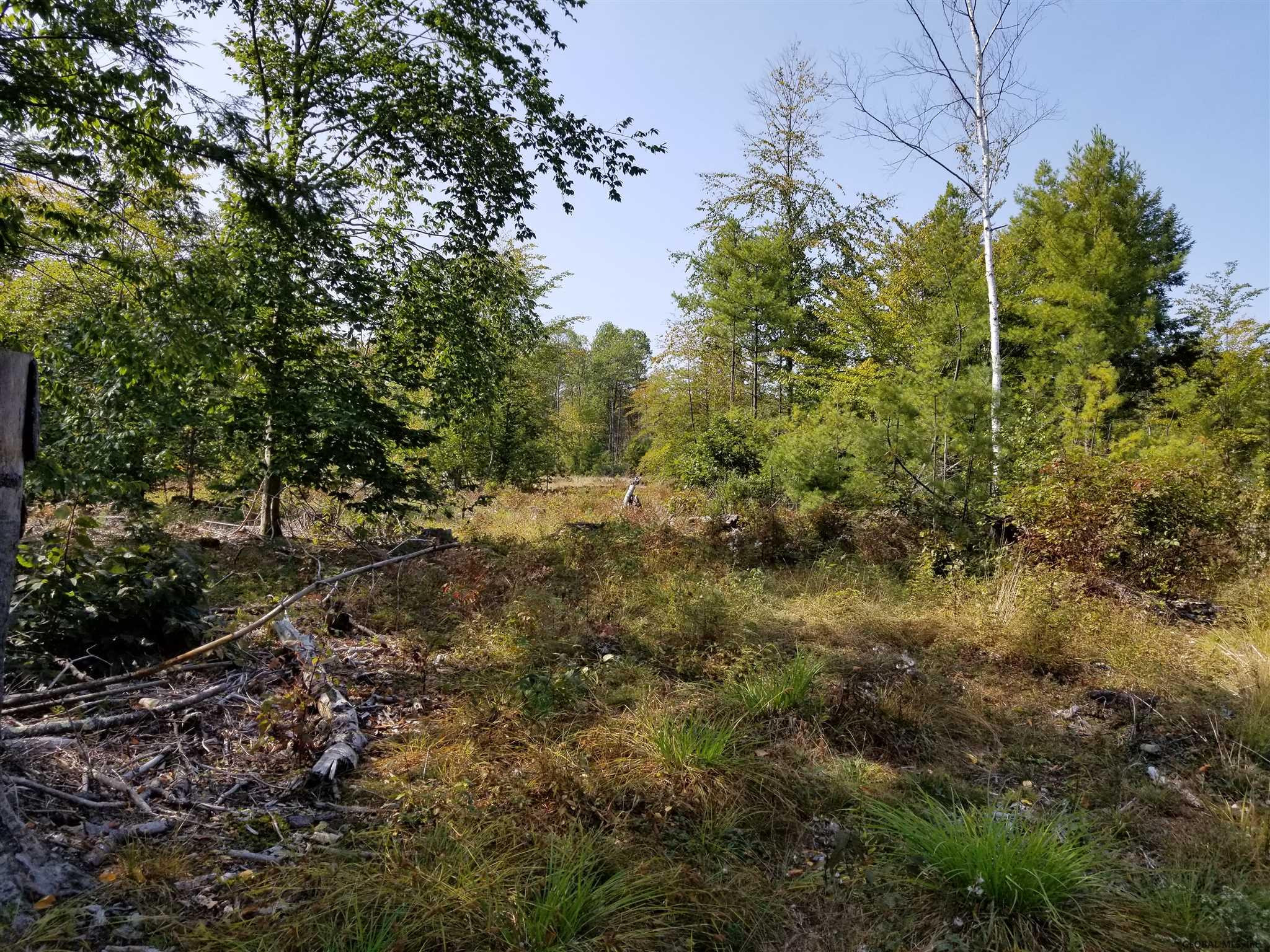 160 Howe Road Greenfield, NY 12833 - Photo 6 of 9 Photo 6