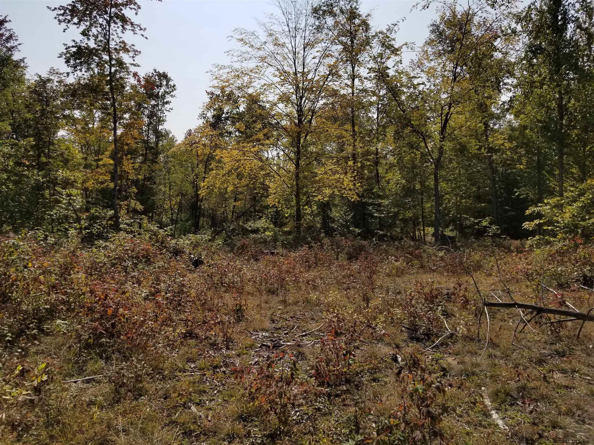 160 Howe Road Greenfield, NY 12833 - Photo 8 of 9 Photo 8