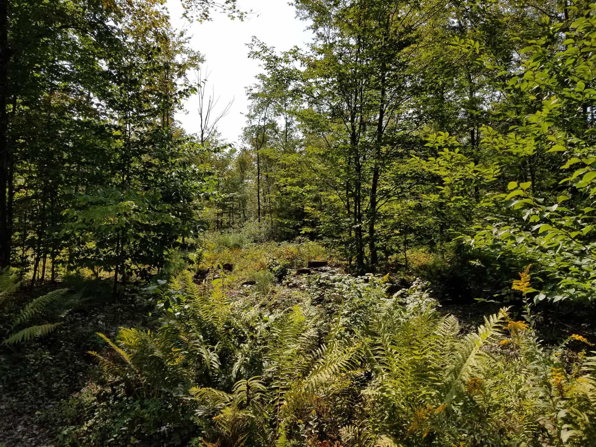 160 Howe Road Greenfield, NY 12833 - Photo 9 of 9 Photo 9