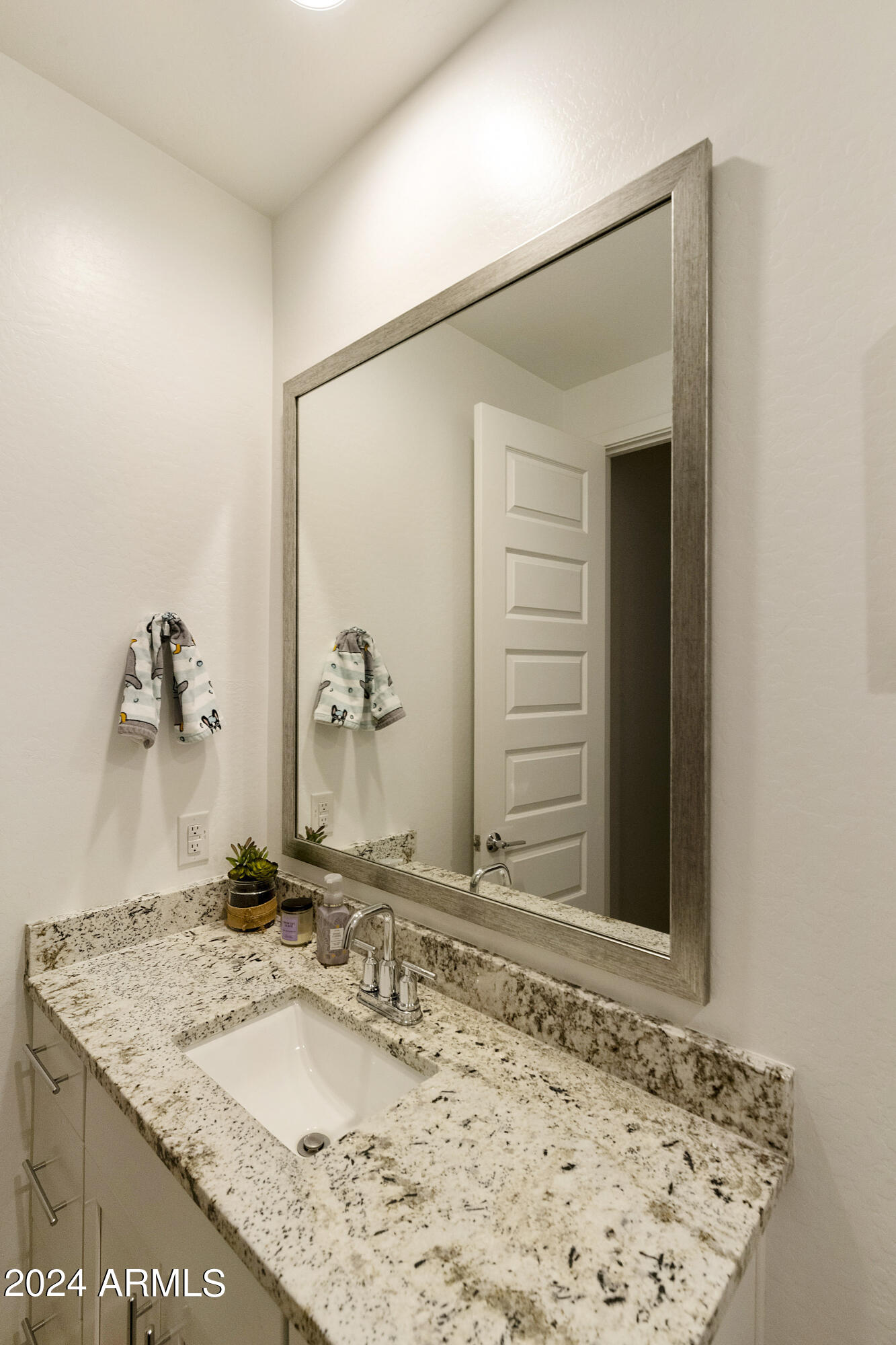 2740 South Reavis Falls Road Apache Junction, AZ 85119 - Photo 44 of 56 PAT_0398