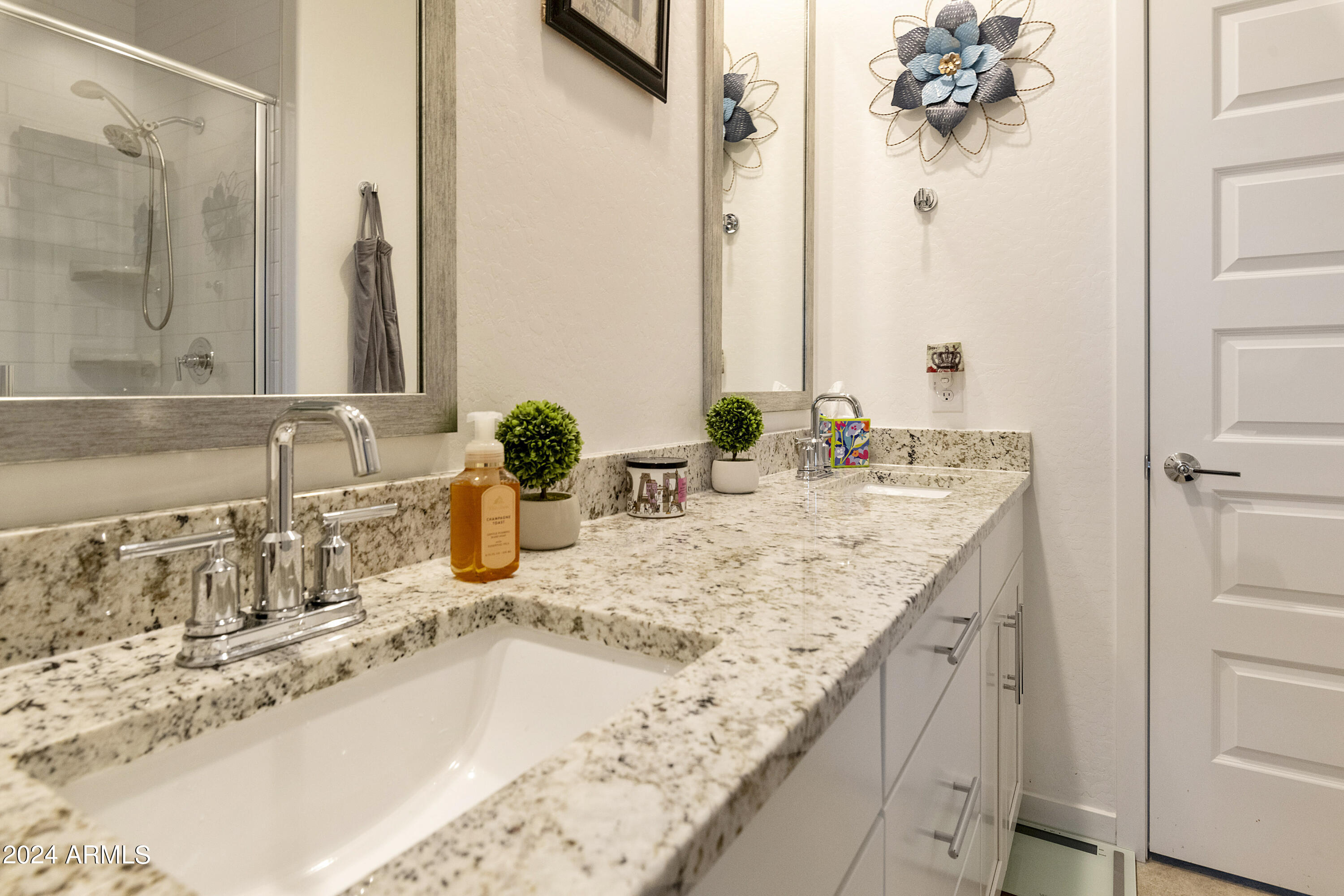 2740 South Reavis Falls Road Apache Junction, AZ 85119 - Photo 47 of 56 PAT_0402