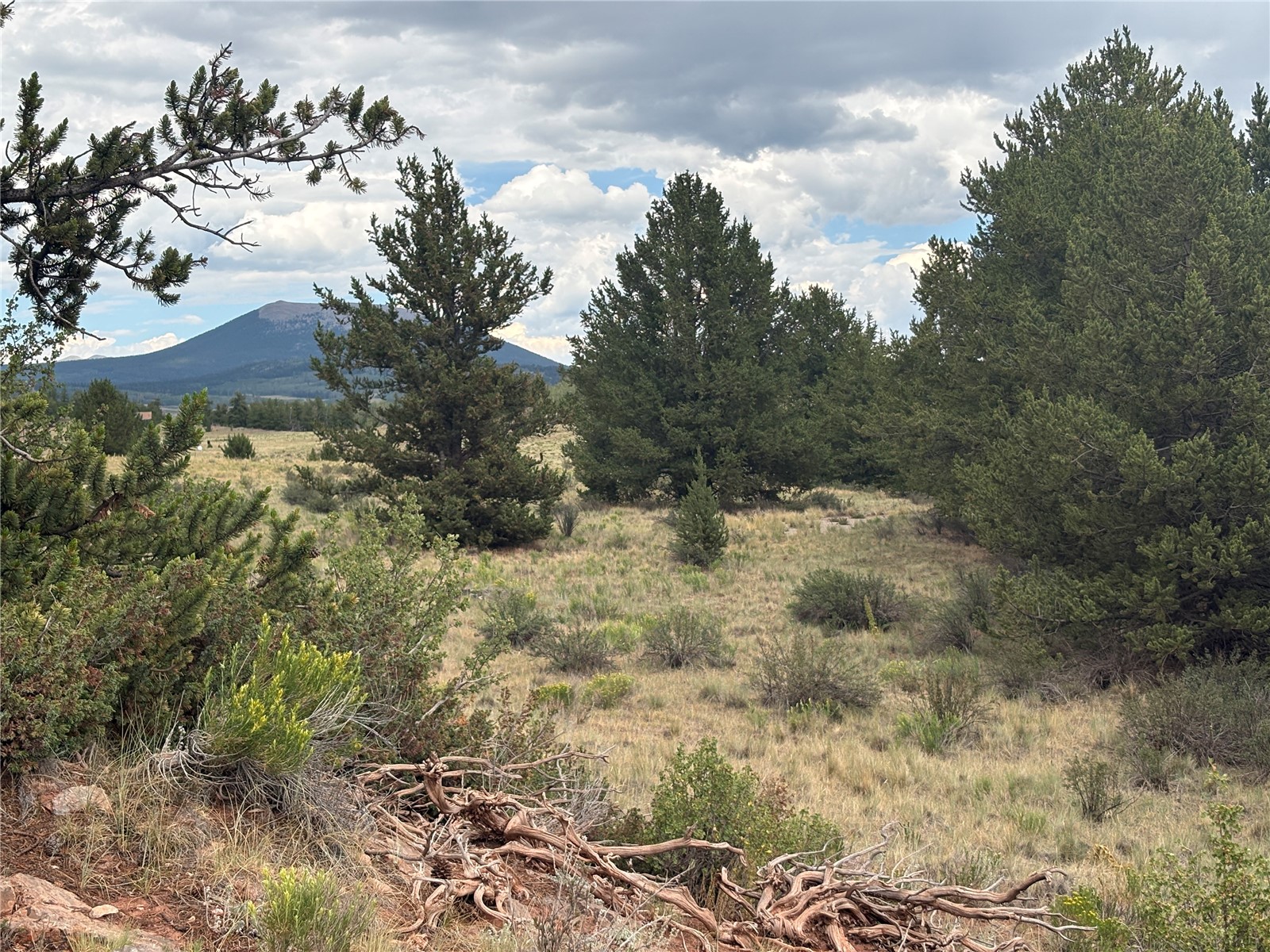 1344 Silver Heels Road Fairplay, CO 80440 - Photo 2 of 31 Gallery Image 2