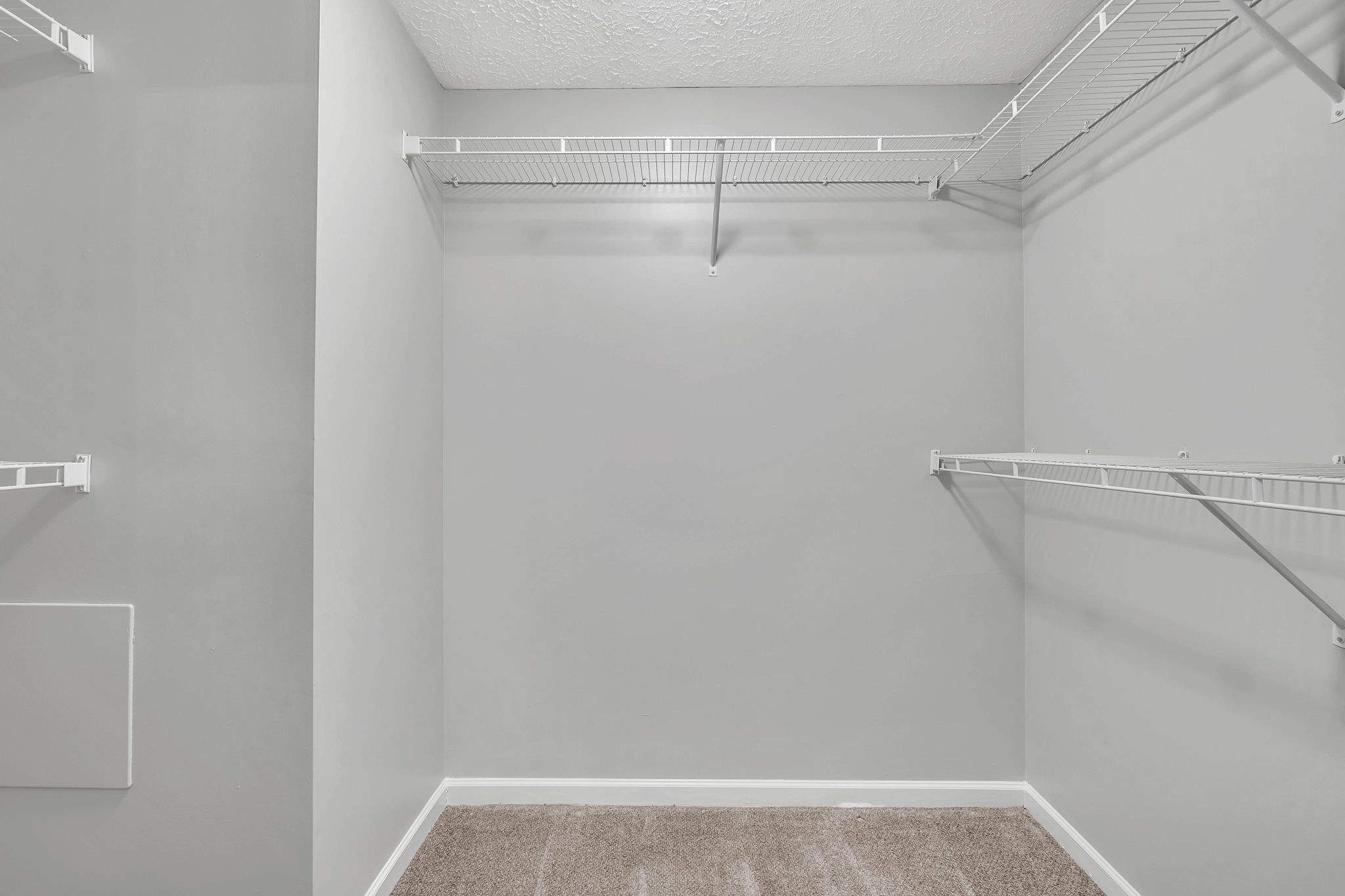 3418 Blaze Drive Murfreesboro, TN 37128 - Photo 27 of 46 a view of an empty walk in closet