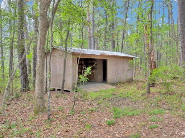 $599,000 | 181 Forest Drive, Woodville, TX 75979