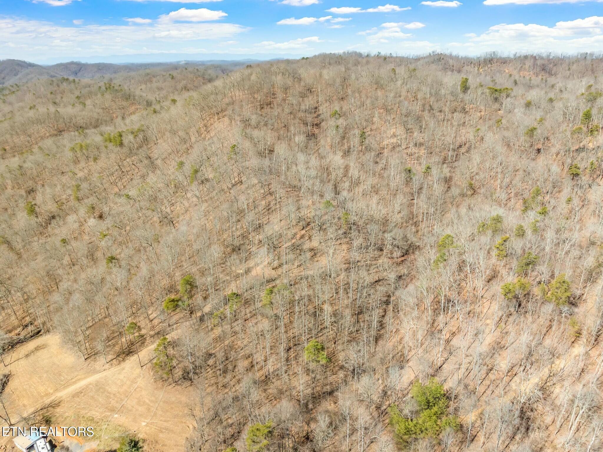 465 Bull Run Road Luttrell, TN 37779 - Photo 54 of 57