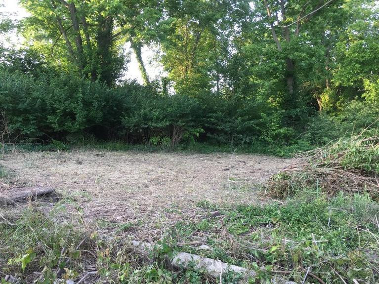 5020 Chenault Bridge Road Danville, KY 40422 - Photo 11 of 18 Photo 11