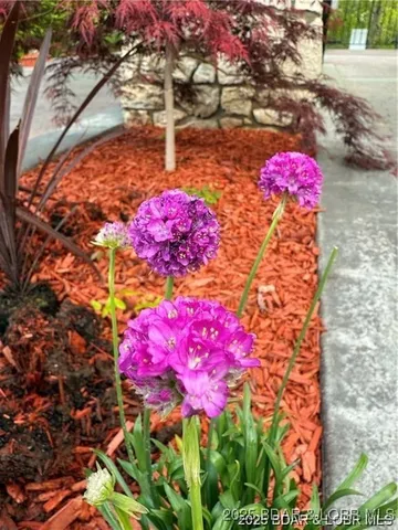 $890,000 | 327 Big Cedar Drive, Camdenton, MO 65020