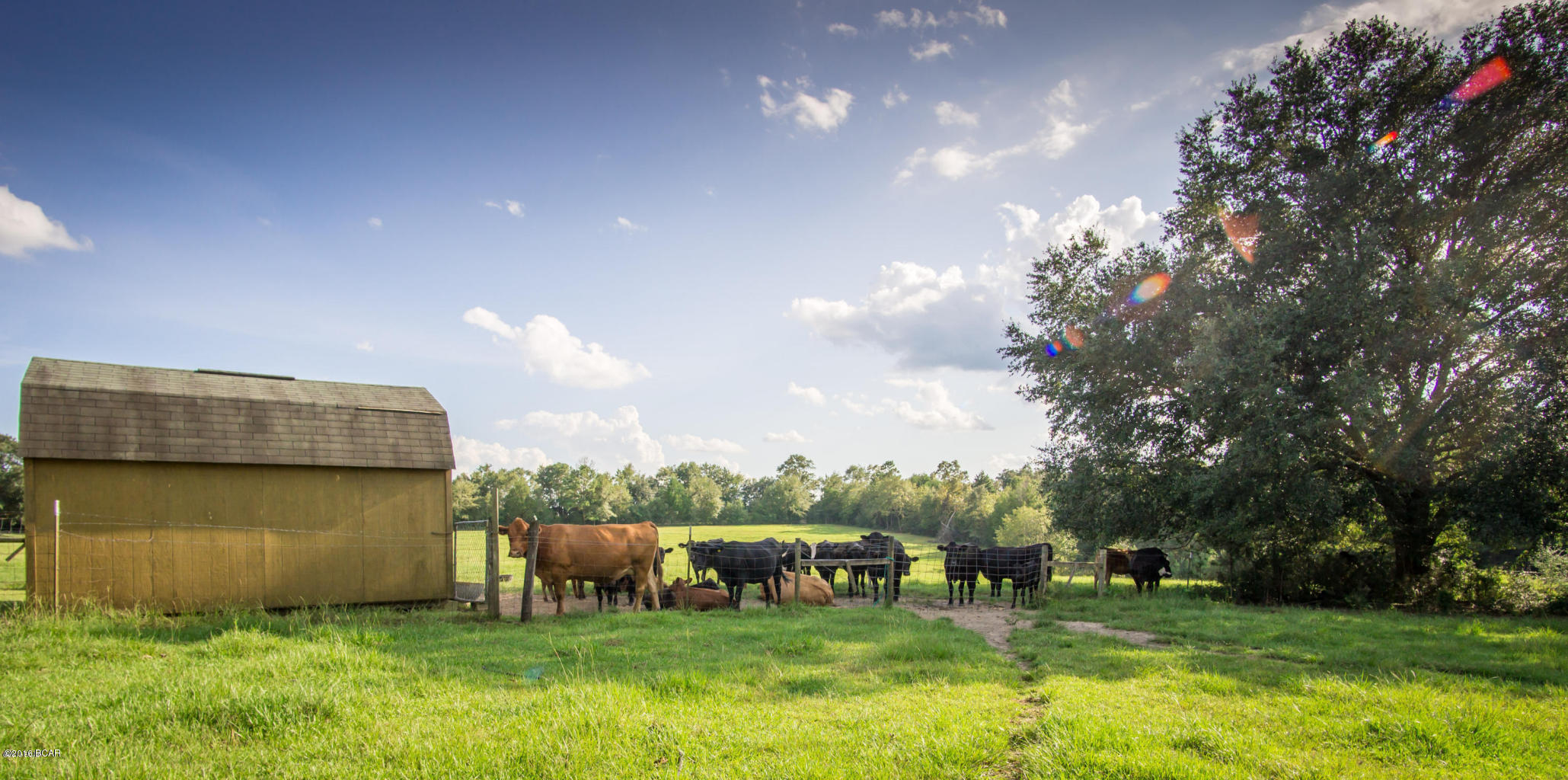 2070 Caney Branch Road Bonifay, FL 32425 - Photo 20 of 28 Gallery Image 20