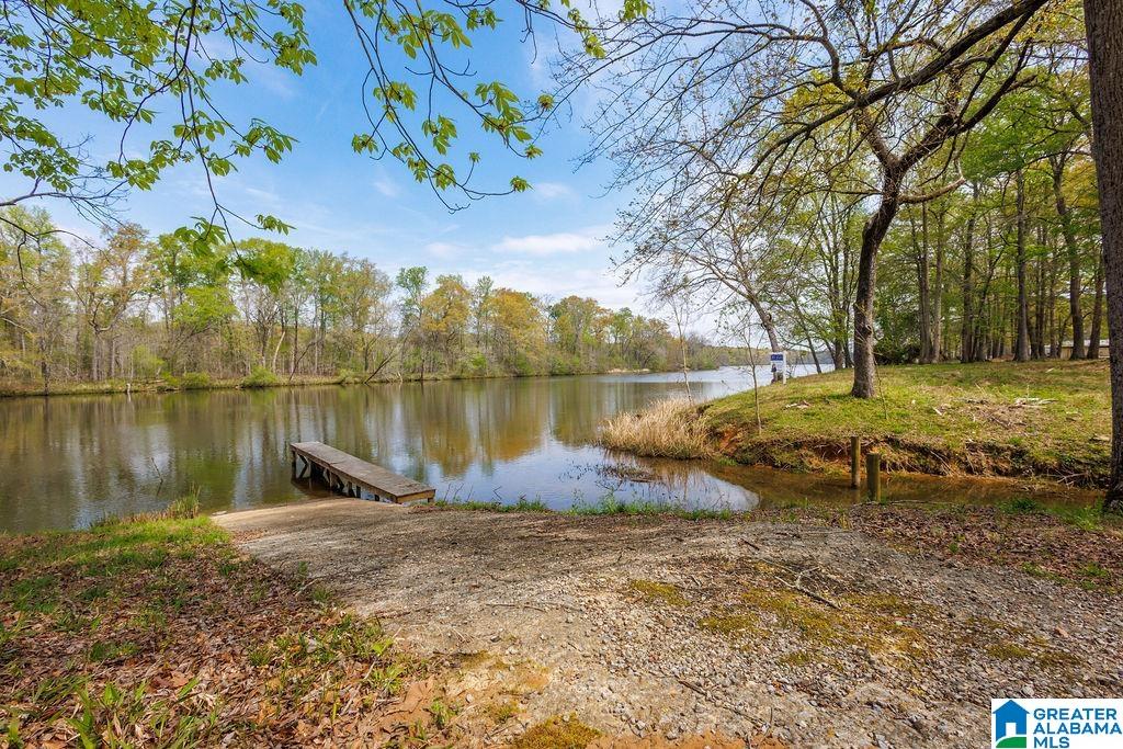960 River Run Road Childersburg, AL 35044 - Photo 16 of 71 Gallery Image 16