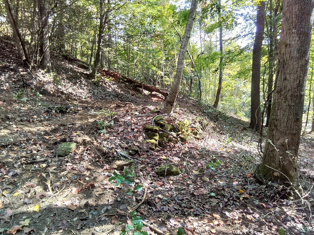 End Of Tanglewood Ridge Murphy, NC 28906 - Photo 21 of 38