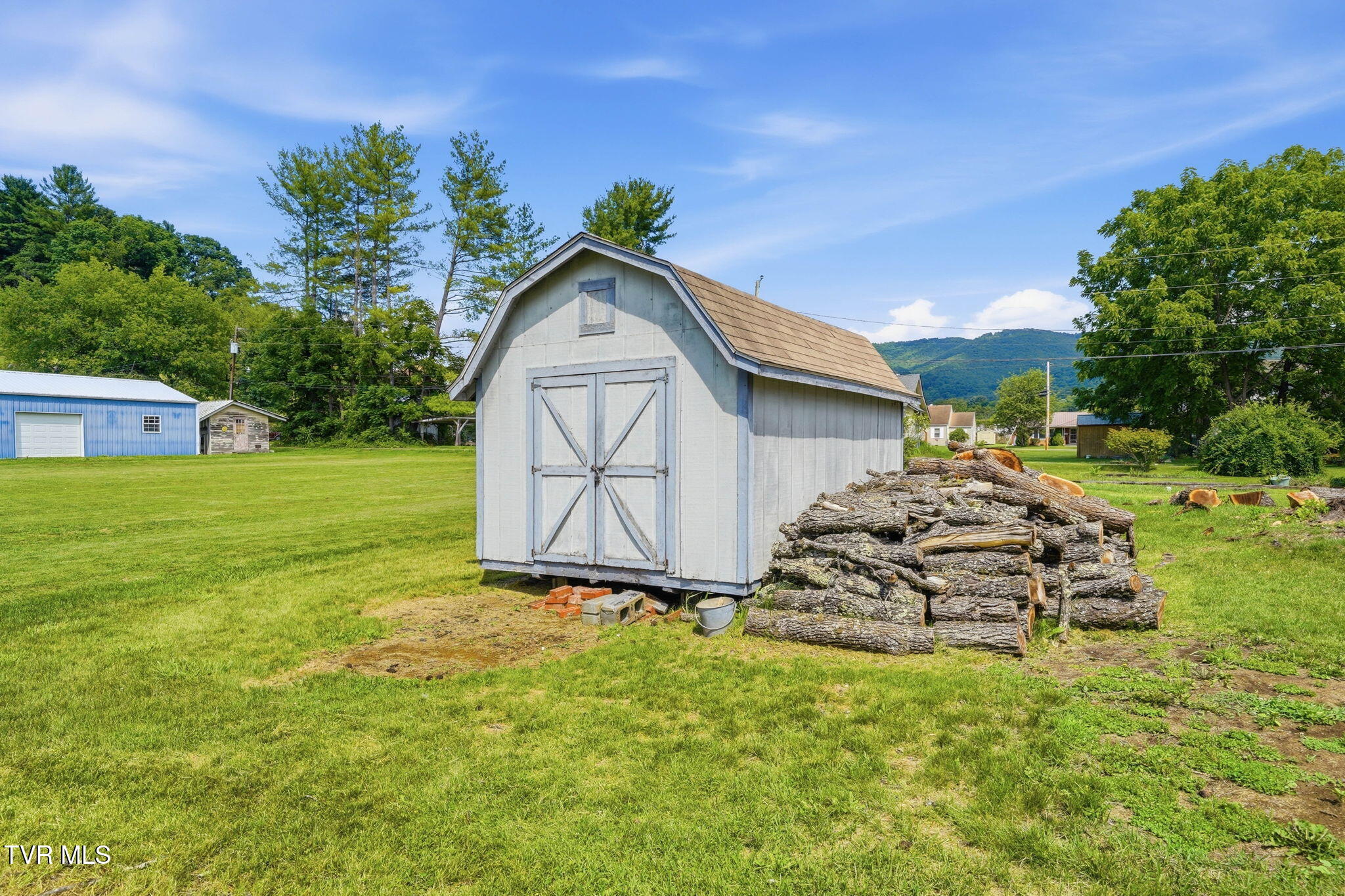 220 North Reece Avenue Mountain City, TN 37683 - Photo 43 of 44 shed
