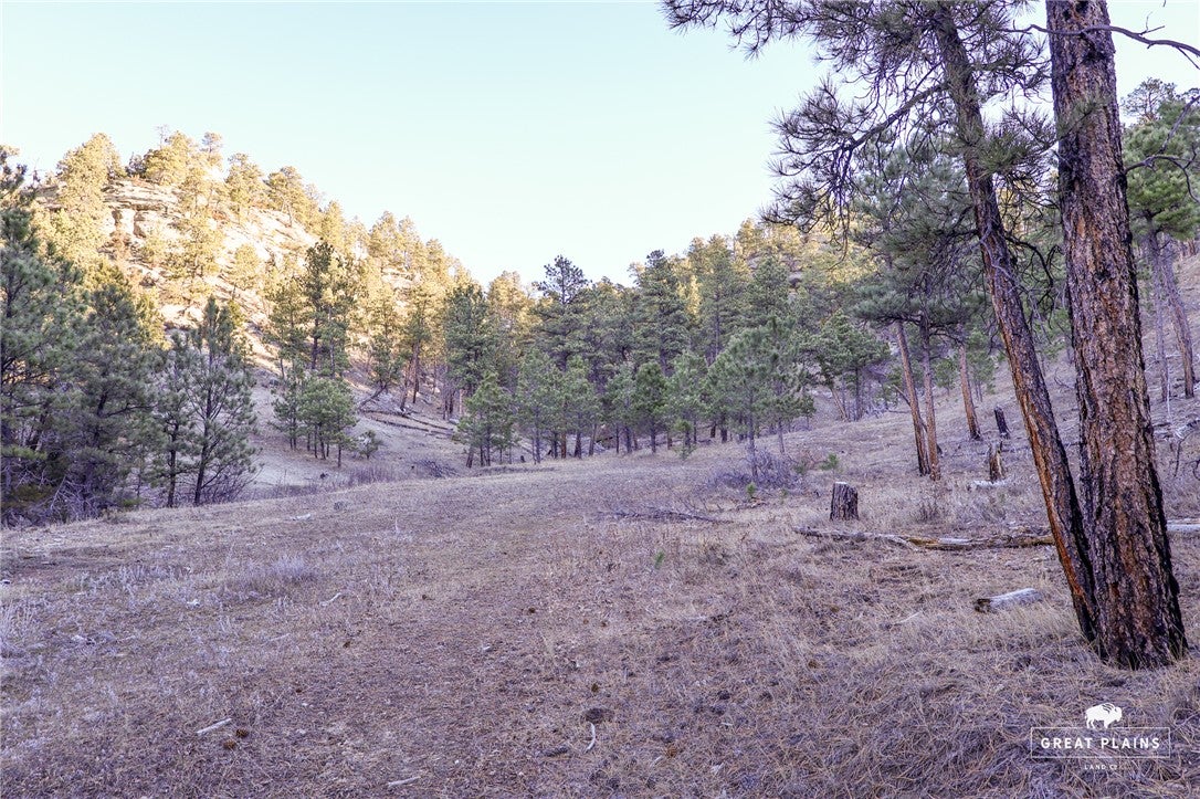 51 Buckskin Road Roundup, MT 59072 - Photo 28 of 34 Gallery Image 28