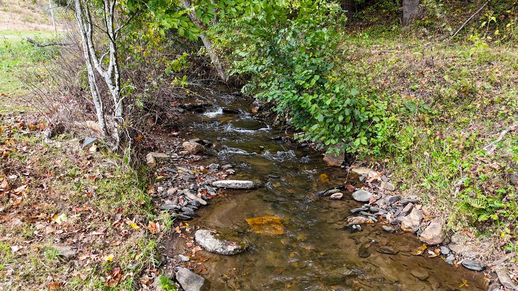 0 Trot Valley Road Stuart, VA 24171 - Photo 15 of 20 Gallery Image 15