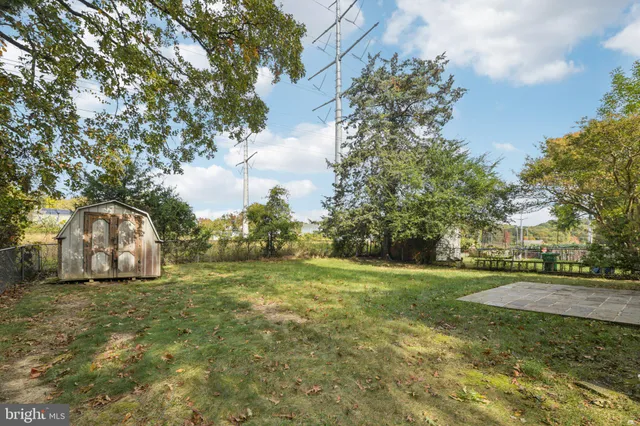 a view of a field with large trees