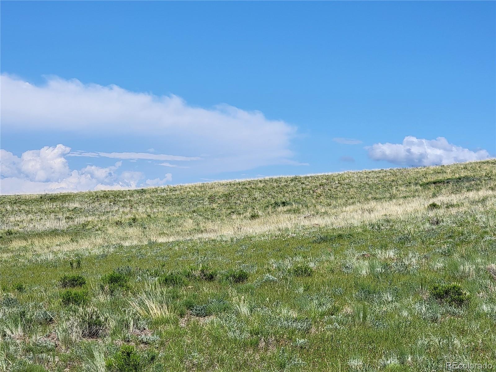 0 Delaware Road Hartsel, CO 80449 - Photo 7 of 18