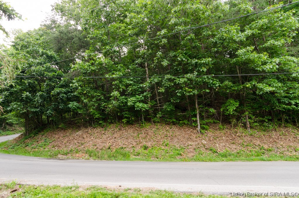 0 Arthur Coffman Road Greenville, IN 47124 - Photo 4 of 17 Gallery Image 4
