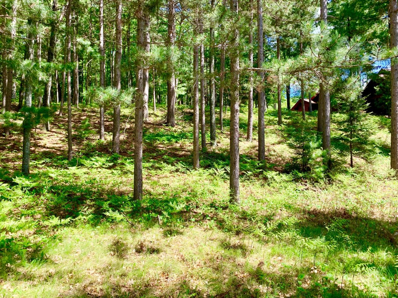 1643 Lighthouse Lodge Road, Unit ADJ TO Eagle River, WI 54521 - Photo 9 of 13 Gallery Image 9