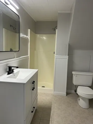 a bathroom with a sink a toilet a mirror and shower