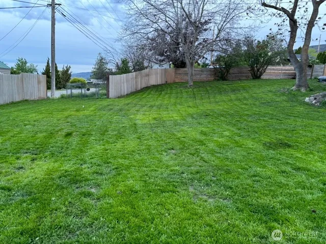 a view of a garden with a tree