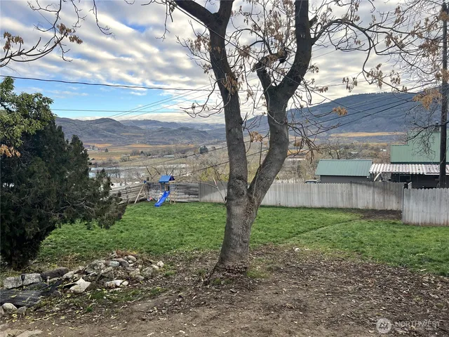 a view of a yard with a large tree