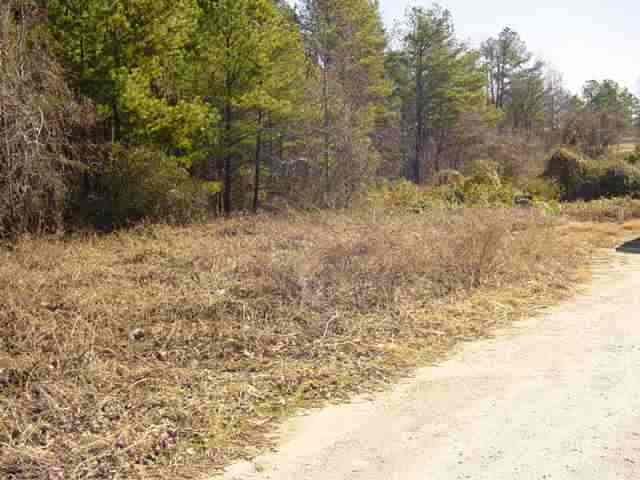 0 Co Road Shorterville, AL 36373 - Photo 1 of 4