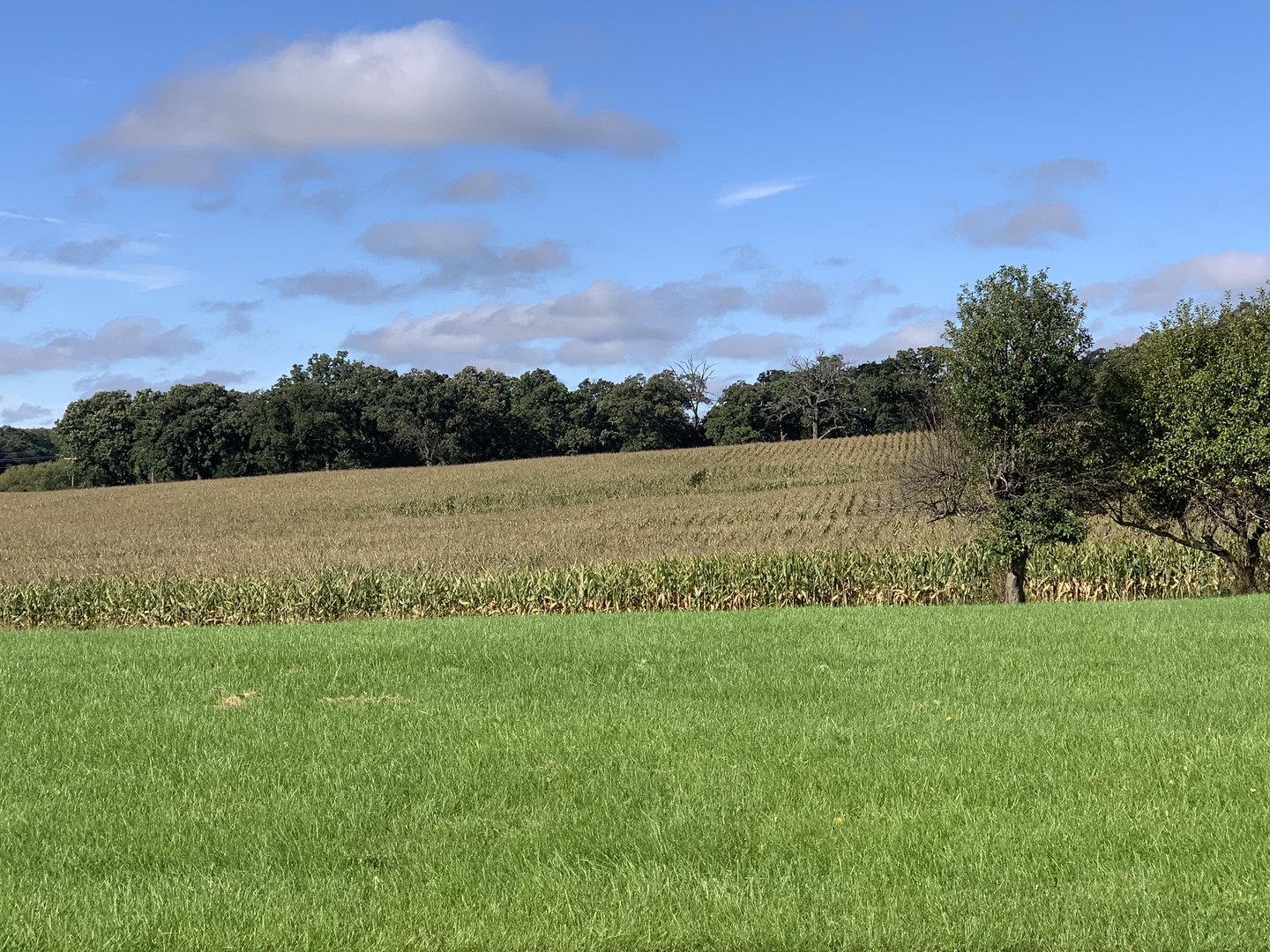 990 Pines Road Oregon, IL 61061 - Photo 53 of 62