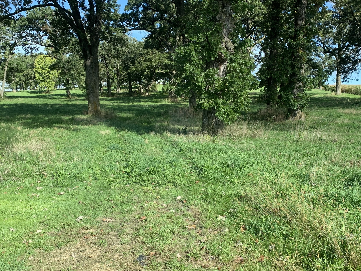990 Pines Road Oregon, IL 61061 - Photo 62 of 62