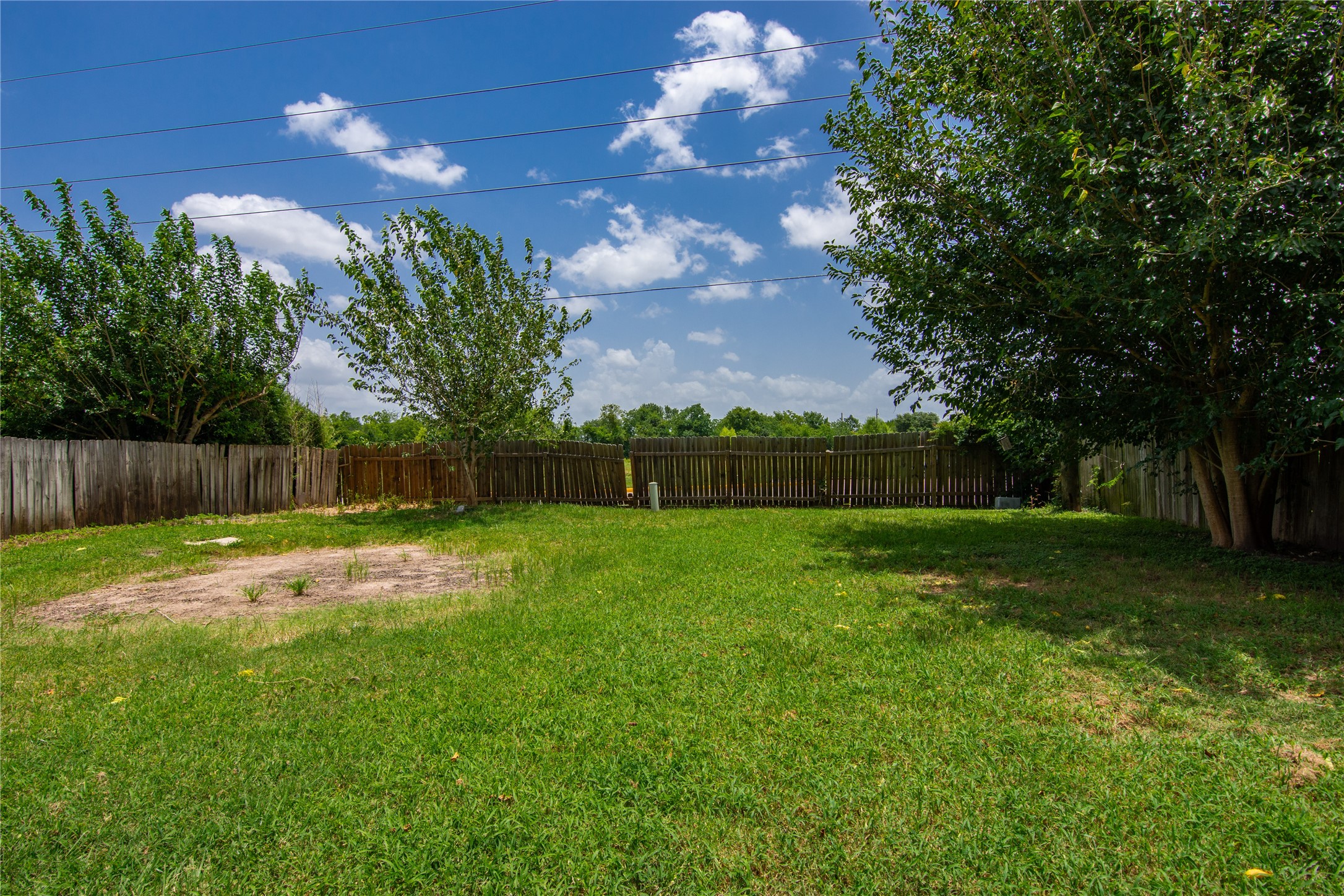 11710 Old Telegraph Road Houston, TX 77067 - Photo 24 of 24 No back neighbors in this spacious backyard.