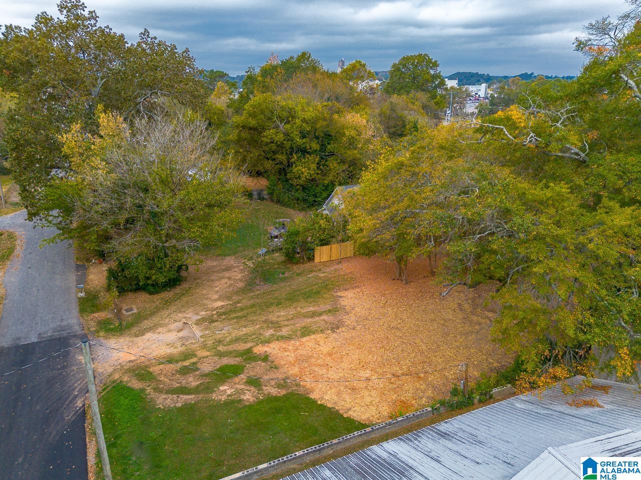 3708 Perry Street Guntersville, AL 35976 - Photo 13 of 29