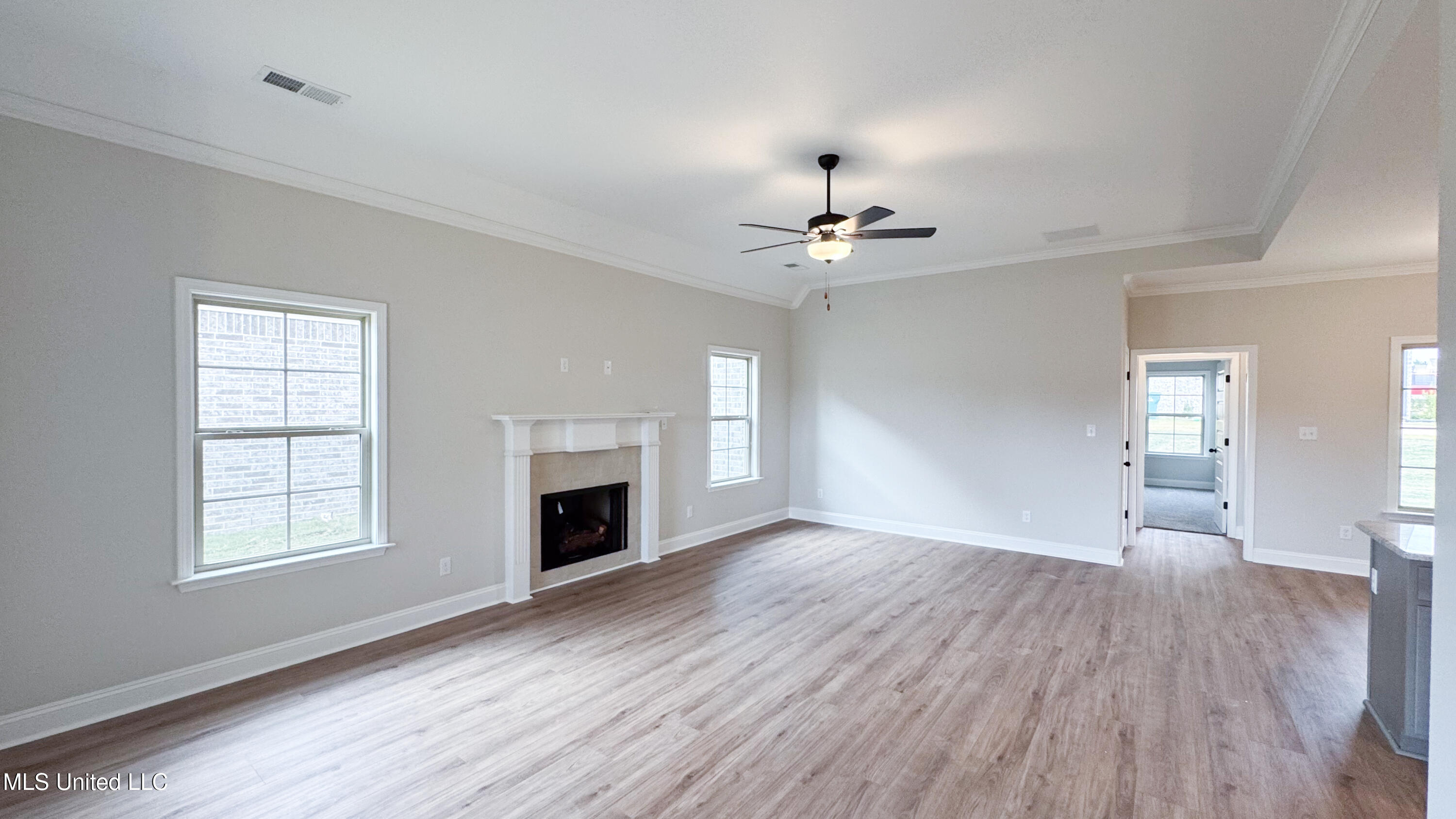 1728 Ryker Road Southaven, MS 38672 - Photo 5 of 26 1728 Ryker -3