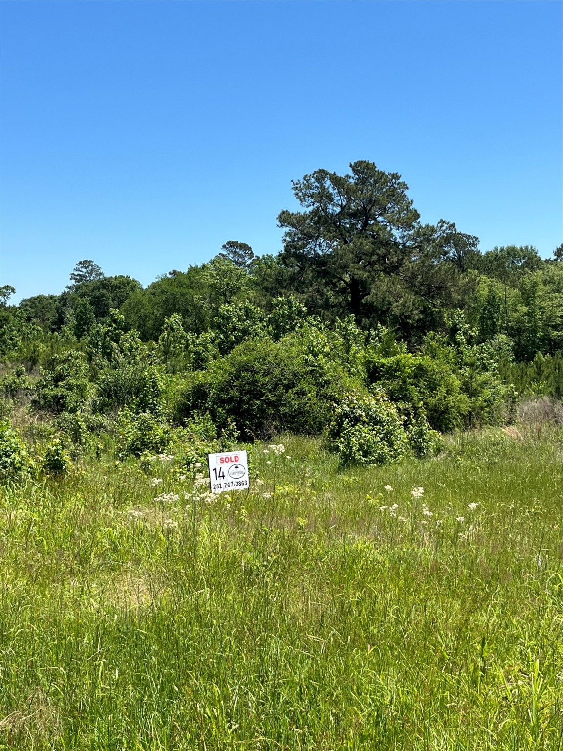 Tbd Tbd Canopy Ridge Crockett, TX 75835 - Photo 10 of 12 a view of a big yard with large trees
