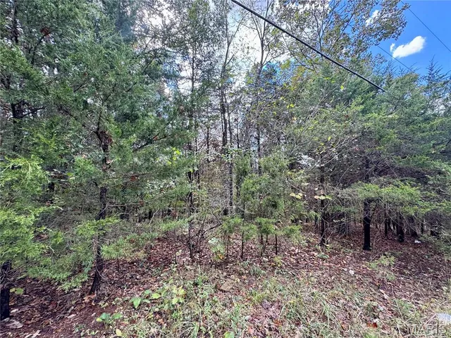 $27,500 | Lot 3 Haverstick School Road, Festus, MO 63028